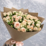 Персиковое облако 1