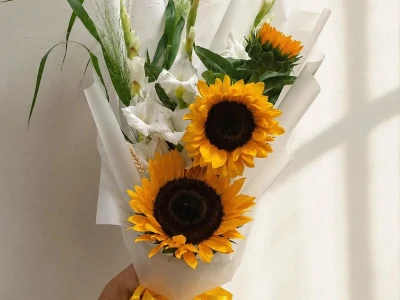 Солнечное сияние