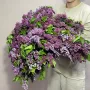Сирень (краснодар)