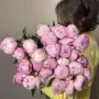 Пионы Сара Бернар