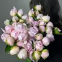 Пионы нежно розовый Ангел  1