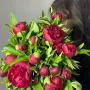 Пионы бордовые 