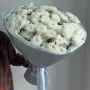 Воздушный Гигант 1
