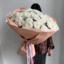 Воздушный Гигант