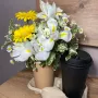 Лимонный зефир 