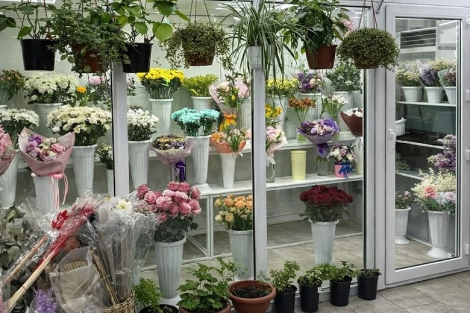 Наш магазин